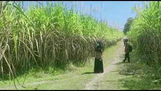 Kunjungan DLH Kab Sragen di Desa Banyurip