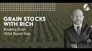 Grain Stocks With Rich