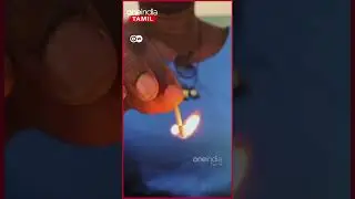 சுத்தமான தேனை கண்டுபிடிக்க இப்படியும் ஒரு வழி இருக்கிறதா! *DWVideos