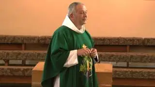Homily 27th Sunday in Ordinary Time (Cycle C) Fr Joe Schwab