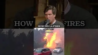 How Did The LA Fires Start?