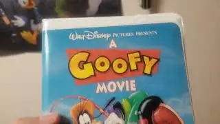 Video Collection Update (Late October 2025)
