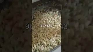 garlic peeler/garlic business/garlic skin remover machine/garlic peeling machine/ JN INDUSTRIES pune