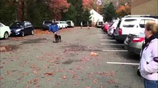 Distraction Training Extended: 