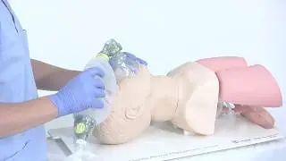 Laerdal Airway Management Trainer