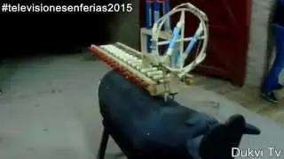 TORO DE FUEGO FERIAS 2015 CALATAYUD (II)