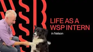 Life as a WSP Intern - Nelson