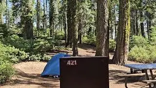 Crane Flat Campground Site 421, Yosemite NP