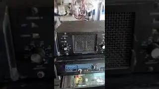 Peavey CS 800
