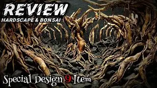 Review Hardscape The Jungle dan Bonsai Aquascape by Queen Art Aquatic