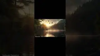 Morning Birds Singing &ndash; Relaxing Nature Sounds for Meditation