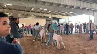 Team GCP- Sonny Brazil Classic Class 5 FWX 01/25/2025