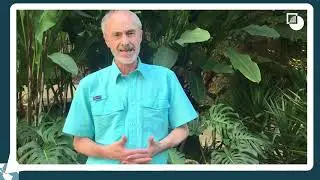 Phil Gunson on the situation in Venezuela