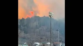 Devastating Forest Fires Ravage Northern Japan, Prompting Evacuations