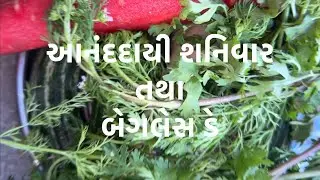 Bagless day | Surnagar Primary School | Gariyadhar | આનંદદાયી શનિવાર 