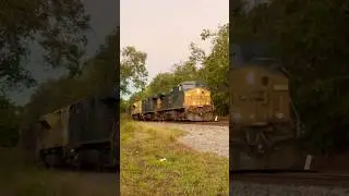 CSXT CW44AC 170 leads on CSX M515-31 with a beautiful NF K5LA on 11/01/2025 #Shorts #train