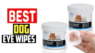✅Top 5 Best Dog Eye Wipes in 2025