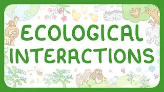 Ecological Interactions (Middle School Science)