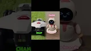 Best Robot Lawn Mower 2025