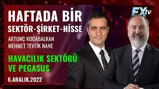 HAFTADA BİR [Sektör, Şirket, Hisse]: Havacılık sektörü ve Pegasus | Artunç Kocabalkan-Mehmet T. Nane
