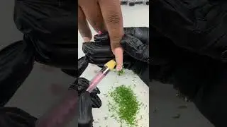Garden nail freestyle tutorial