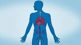 Aortic Aneurysm Repair: Minimally Invasive Approach