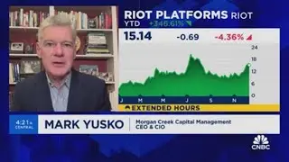There will be additional demand pressure on bitcoin next year, says Mark Yusko