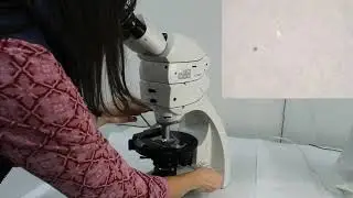 Quartz Interference Figure Instructional Video