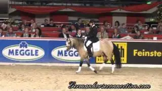 SpringStars Spirit HB Feb 2011