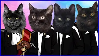 Meme Cat - Coffin Dance Song (COVER) - Zeus Coffin