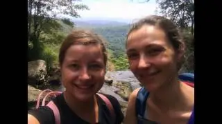 Springbrook NP I Queensland
