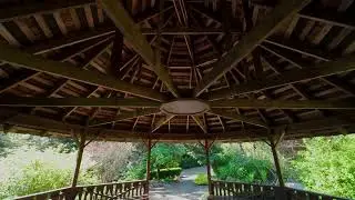 Walkthrough : South Seattle Community College Arboretum