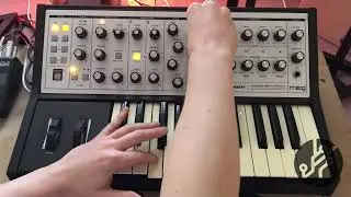 Experimenting on the Sub Phatty! 🔥🔊 #moog #studiosession #dtm #patches