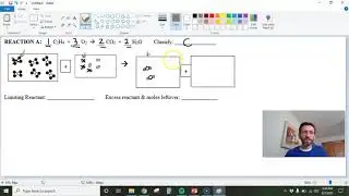 Limiting Reactant Models