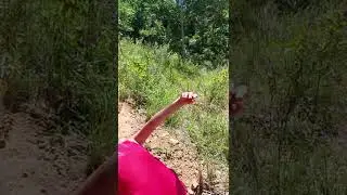 Al pie del Cerro H&uacute;, dpto de Paraguar&iacute;, Paraguay 2021
