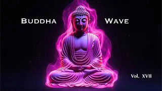 Calm Music for Stress-Free Work | BUDDHA WAVE Vol. 17