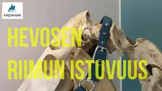 3 vinkki&auml; hevosen riimun sovitukseen