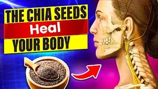 Chia Seeds and Insulin Resistance: A Nutritional Powerhouse with Myriad Health Benefits