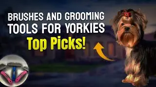 Brushes and Grooming Tools for Yorkies: Top Picks! 🛀🐾