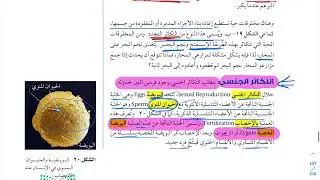 8- شرح درس انقسام الخلية وتكاثرها (الجزء الثاني) علوم ثالث متوسط 1447