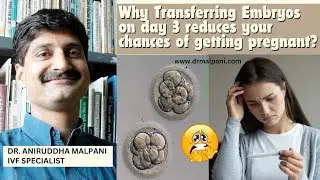 Why transferring day 3 embryos reduces your chances of getting pregnant? Dr. Aniruddha Malpani #ivf