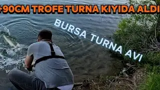 KIYIDA GEZEN DEV TURNAYI KANDIRDIM / BURSA TROFE TURNA AVI