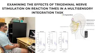 Examining the Effects of TNS on Reaction Times in a Multisensory Integration Task