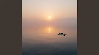 Inner Harmony
