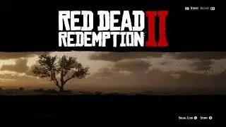 RDR2 STORY OUTLAW CHRONICLES (BAD-BOY) PART 5