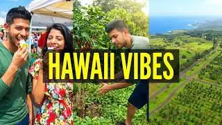 Hawaii Coffee Tour You Don't Wanna Miss (Kona, The Big Island!)