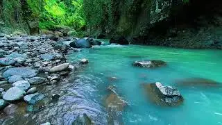 Mountain Stream Calm Night Flow, Forest River Sounds, Sleeping