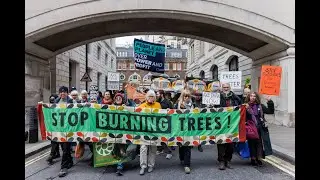 Protecting People and the Planet from Drax's tree burning webinar