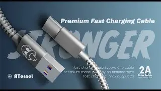 ATERNET: AT102 2A Fast Charging & Data Transmission USB type-c & IP