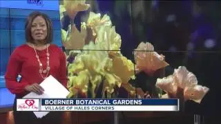 Mother's Day: Fun Events for Mom